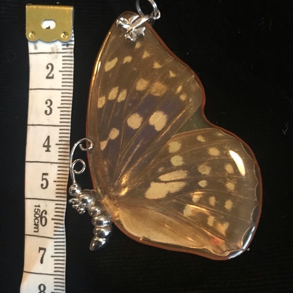 Sterling Silver Butterfly Wing incased in Resin Pendant (7 cm Total Length) - Picture 8 of 17